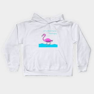 Flamingo Kids Hoodie